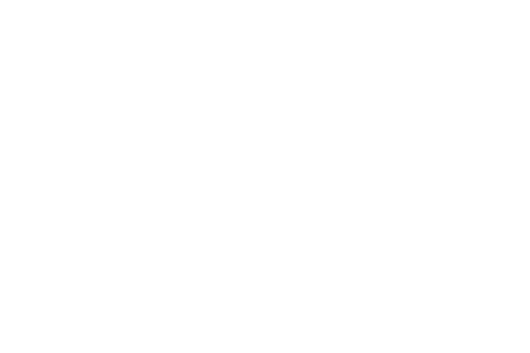 FLASH LYTE