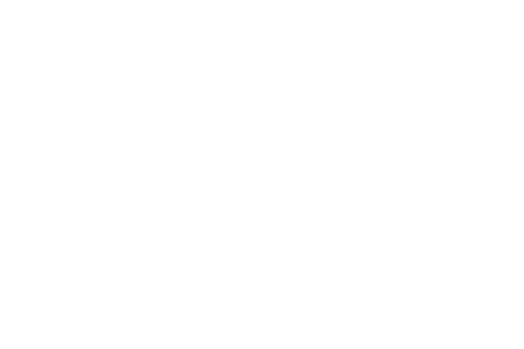 SMART FIT