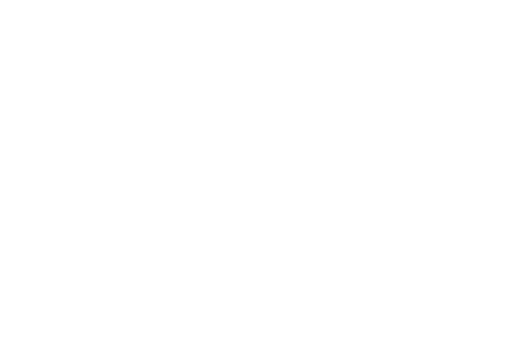 VELO