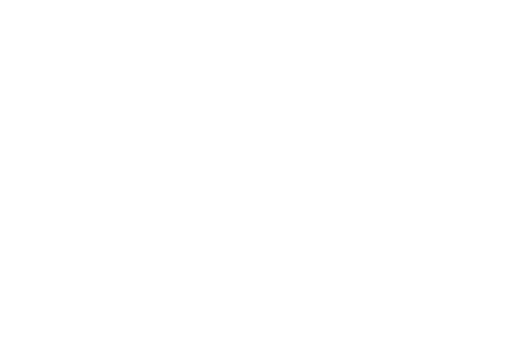 MOET HENNESSY