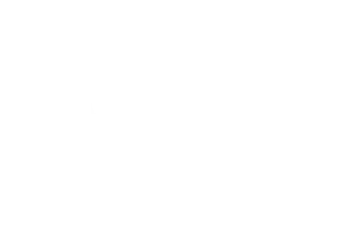 SPIN PREMIA