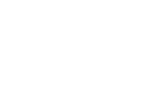 MILLER HIGH LIFE